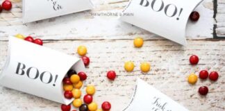 local packing and unpacking company