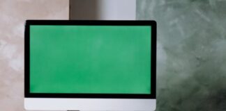 9xmovies green | sqmclubs.