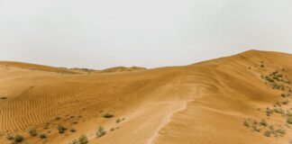 Desert Safari Dubai | sqmclubs.