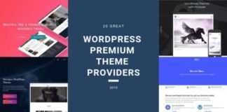 Premium WordPress Themes