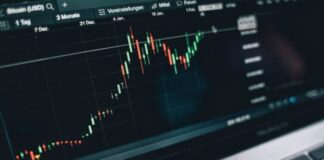 top web development firms