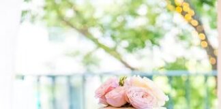 cake delivery in Bangalore.