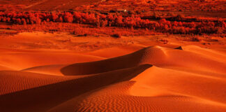 simple budget tour guidelines